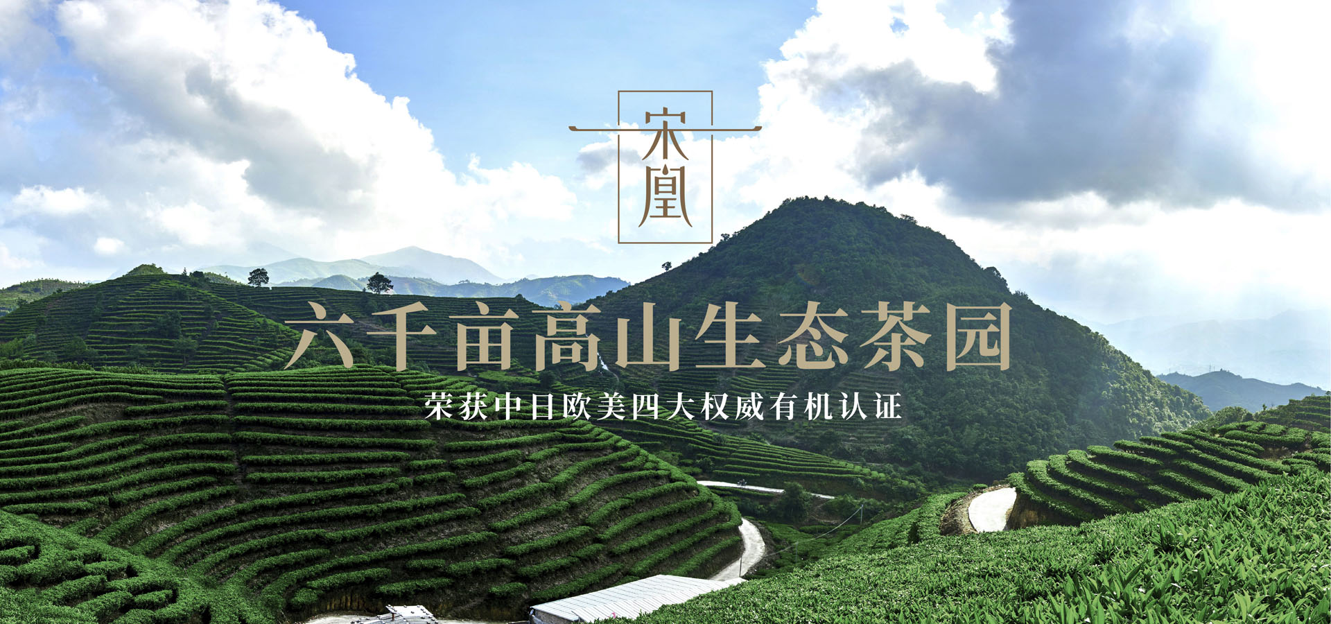 宋凰生態(tài)茶業(yè)有限公司